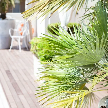 Conchiglia 4* Cervia