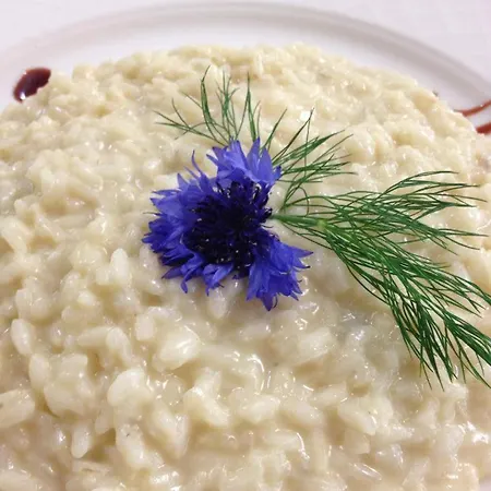 Conchiglia Hotell
