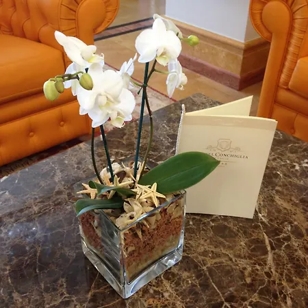 Hotell Conchiglia Cervia