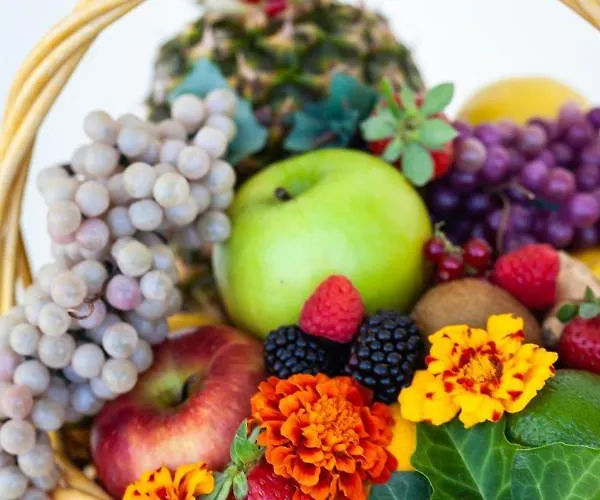 Hotell Conchiglia 4*