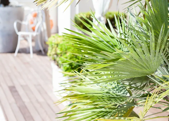 Conchiglia 4* 체르비아